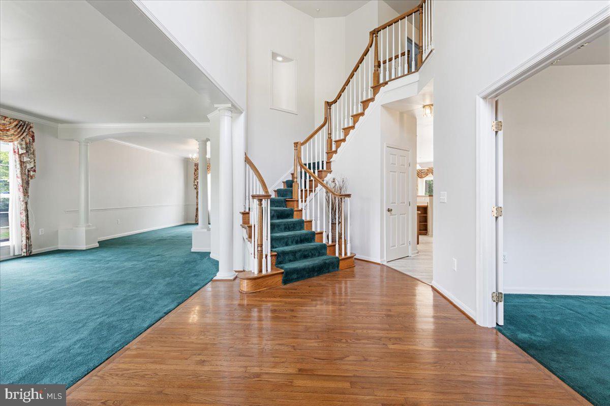 FARMINGTON WOODS - Residential