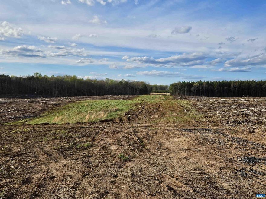 82+ Acres of Great Recreational property in Buckingham County. Bring your off grid rural building plans and dreams ! New Survey. Private property sits off the road on a prescriptive easement surrounded by large timber tracts making this a great hunting and wildlife property. Recently timbered with 43 acres planted back in 22.5K pine trees for future investment. Two nice creeks. Priced to sell at 200K ! (Timber reserved on western tract - see agent notes.) Add your own game patches, stands. Access to land is through a prescriptive right of way.