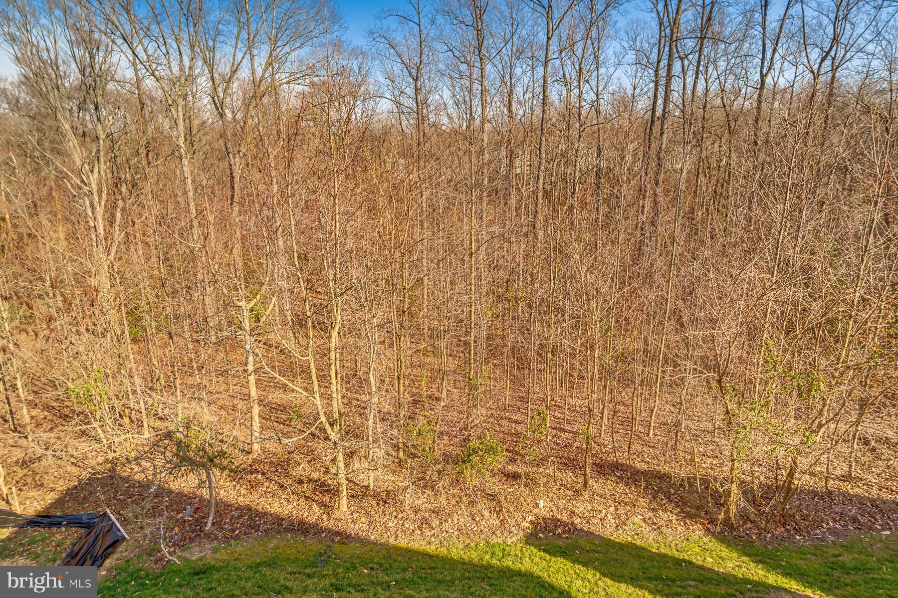 POTOMAC SHORES - Residential