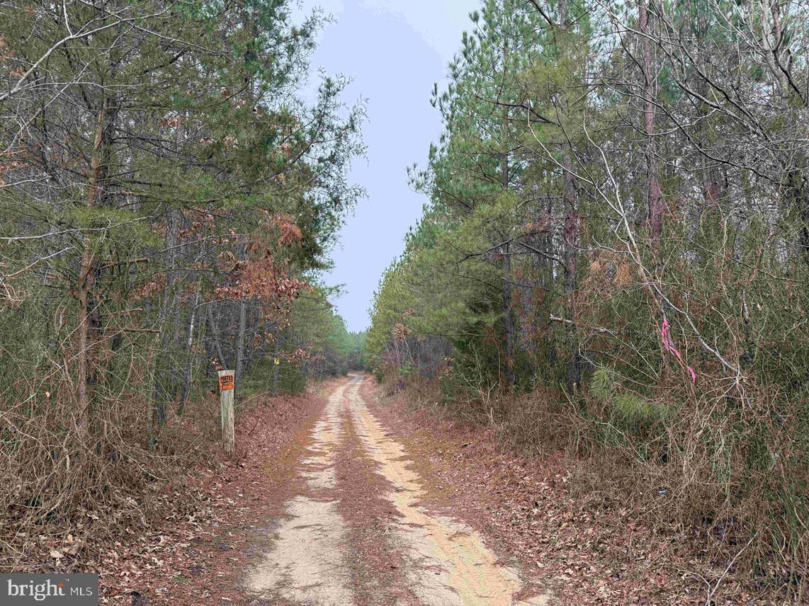POLLARDS LANE (TRACT TANAGER ET2-2012)