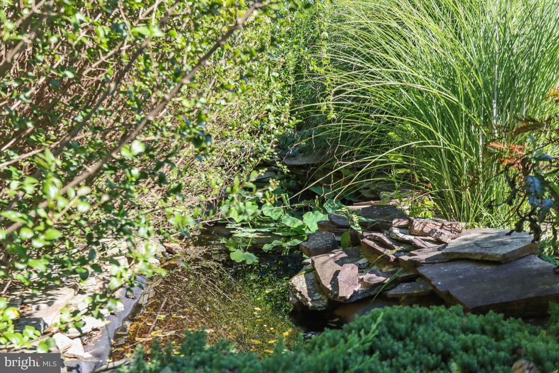 HILLSDALE - Residential