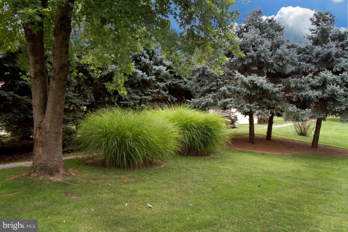 MAYTOWN - Residential