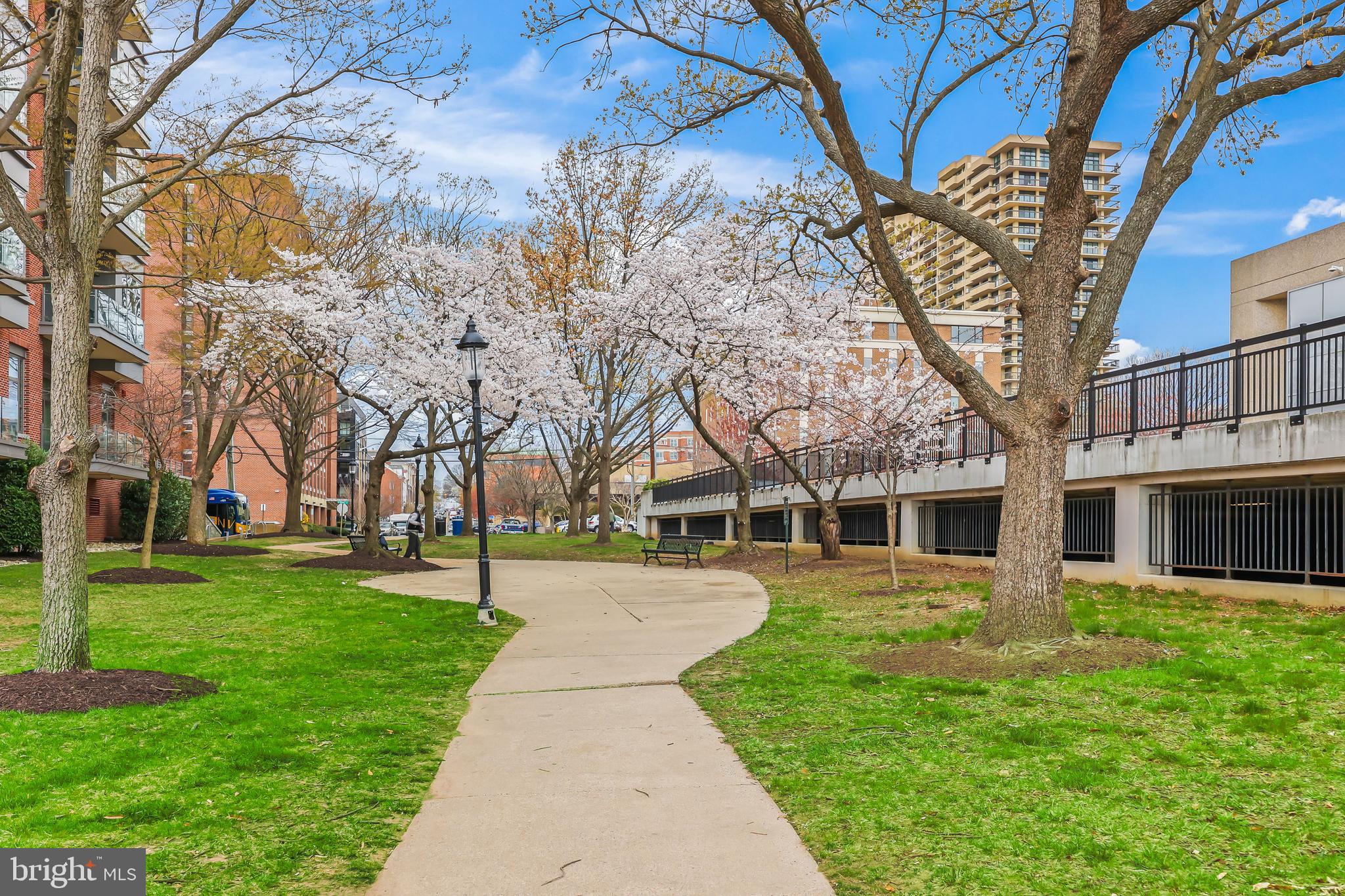 CHATHAM SQUARE - Residential