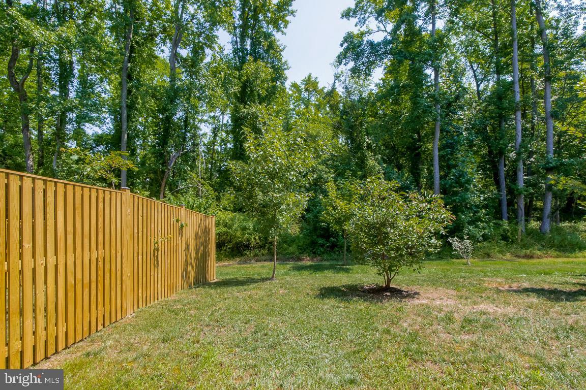 TANYARD SPRINGS - Residential Lease