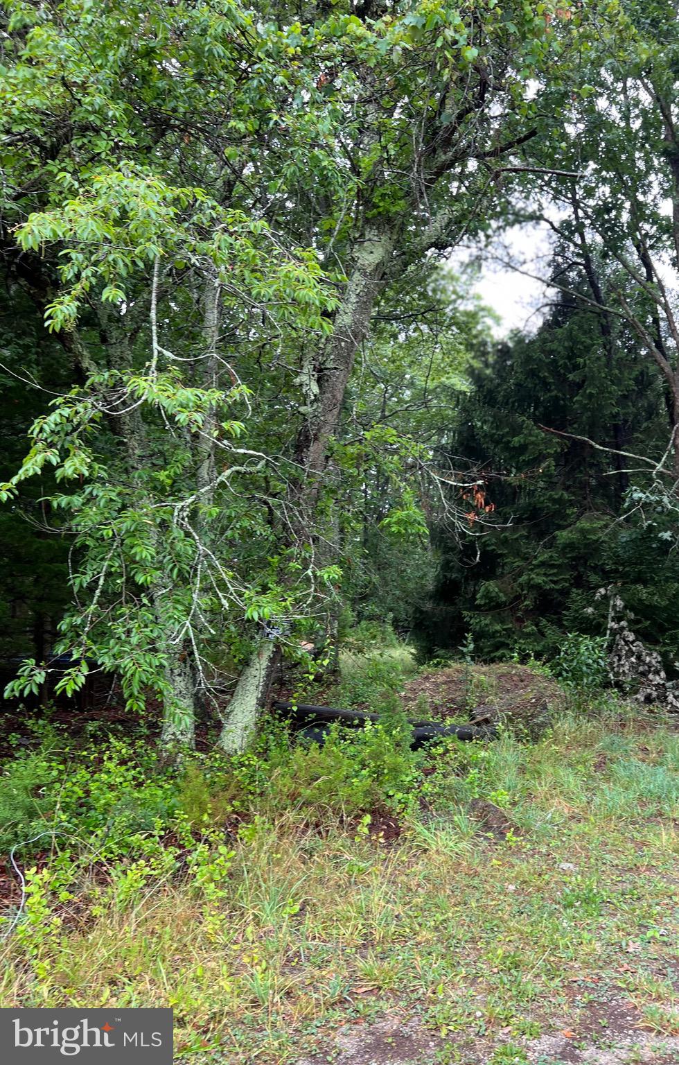 246 CRESTVIEW