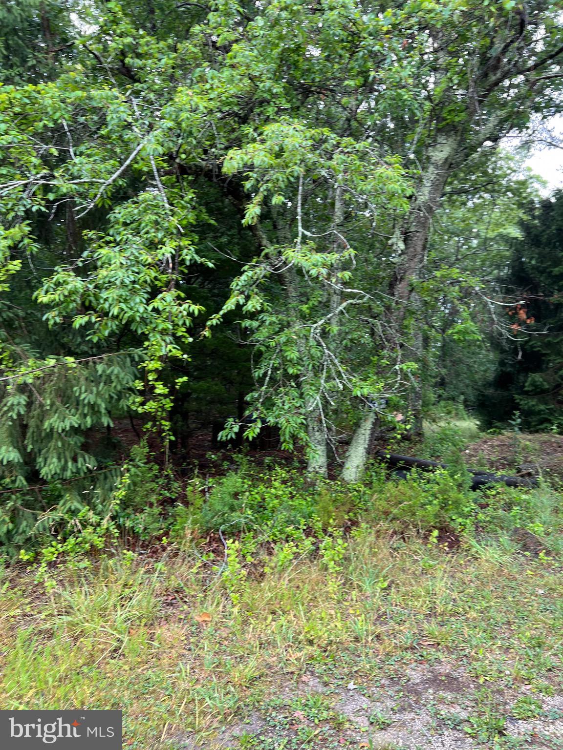 246 CRESTVIEW