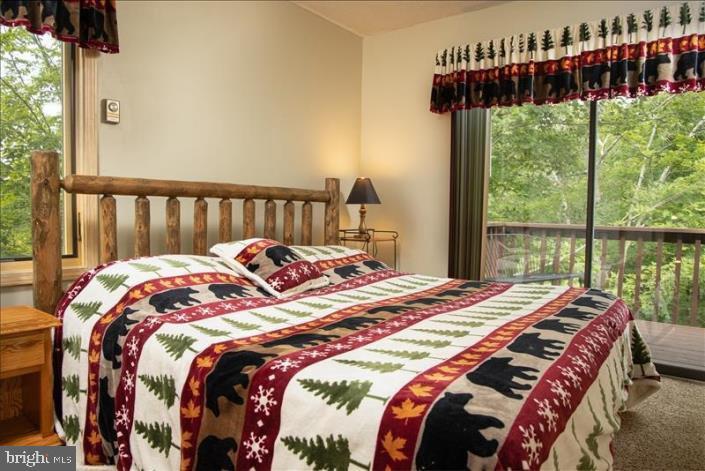 NORTHFACE AT TIMBERLINE SKI AREA - Residential