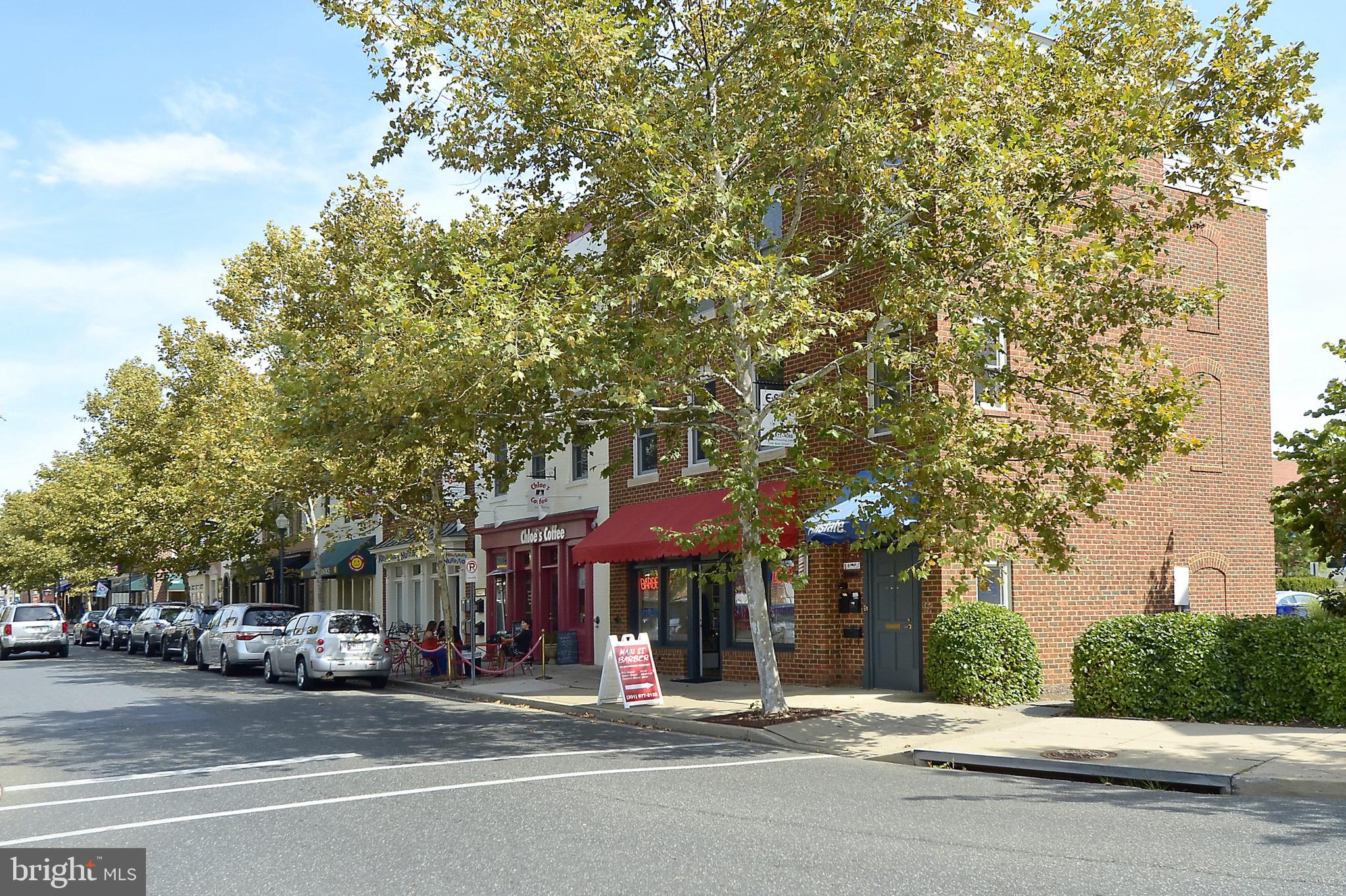 THE COLONNADE AT KENTLANDS - Residential