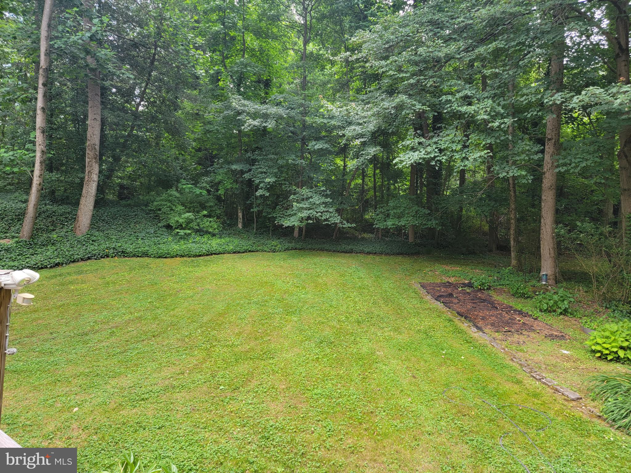 BUCKINGHAM ESTATES - Residential