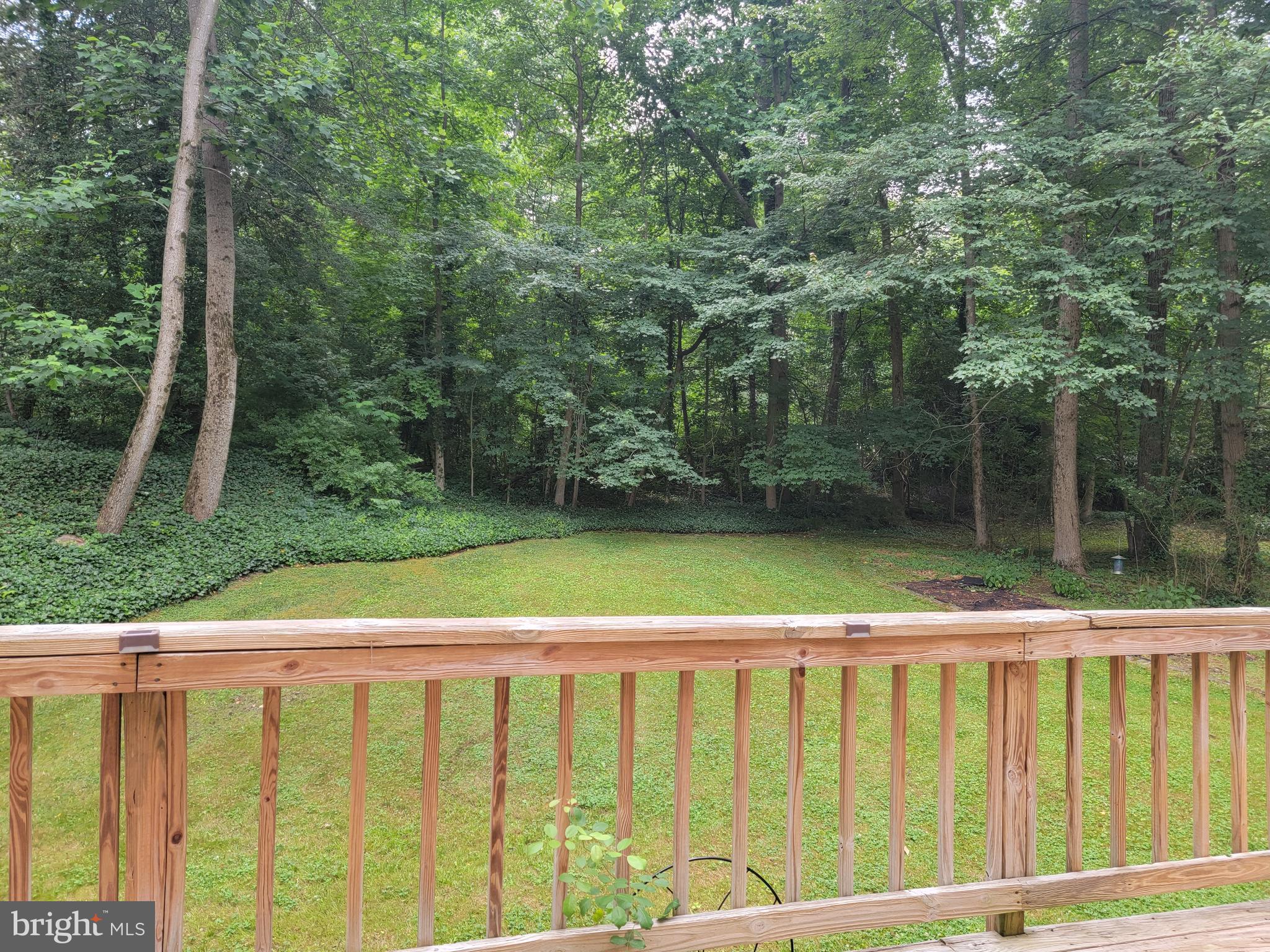 BUCKINGHAM ESTATES - Residential