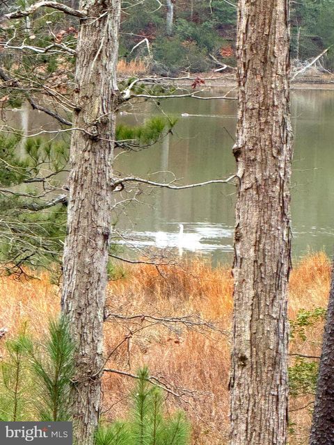 3 SEAGRASS COURT KING GEORGE VA 22485