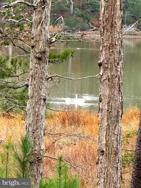 Vacant Land For Sale - 3 Seagrass Court<br/> King George County, KING GEORGE, VA 22485