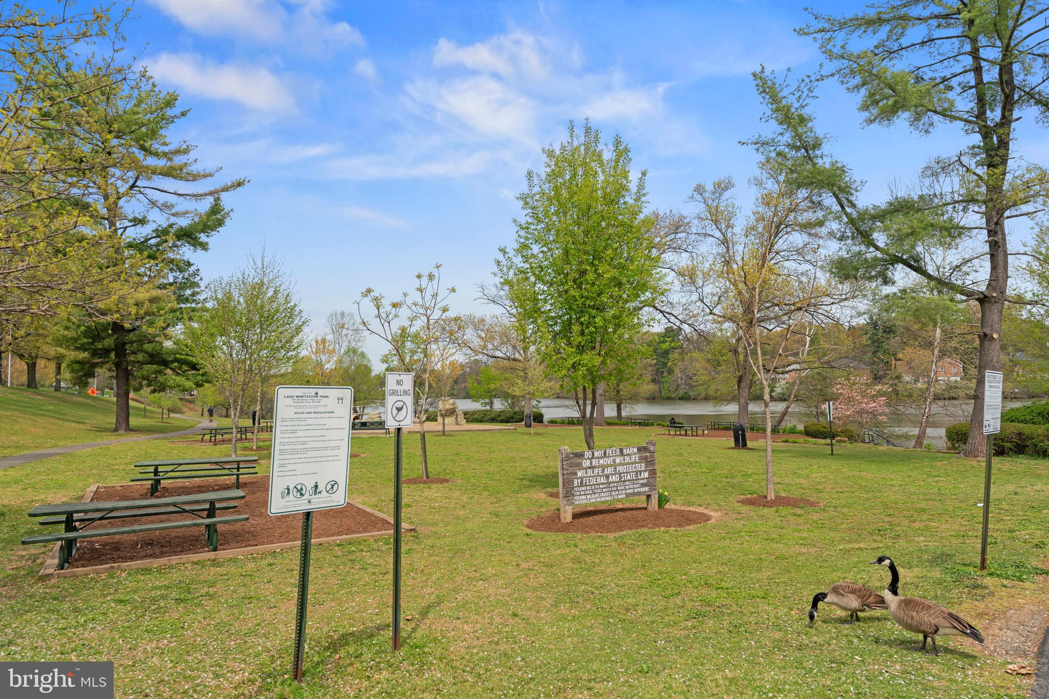 DOCKSIDE - Residential