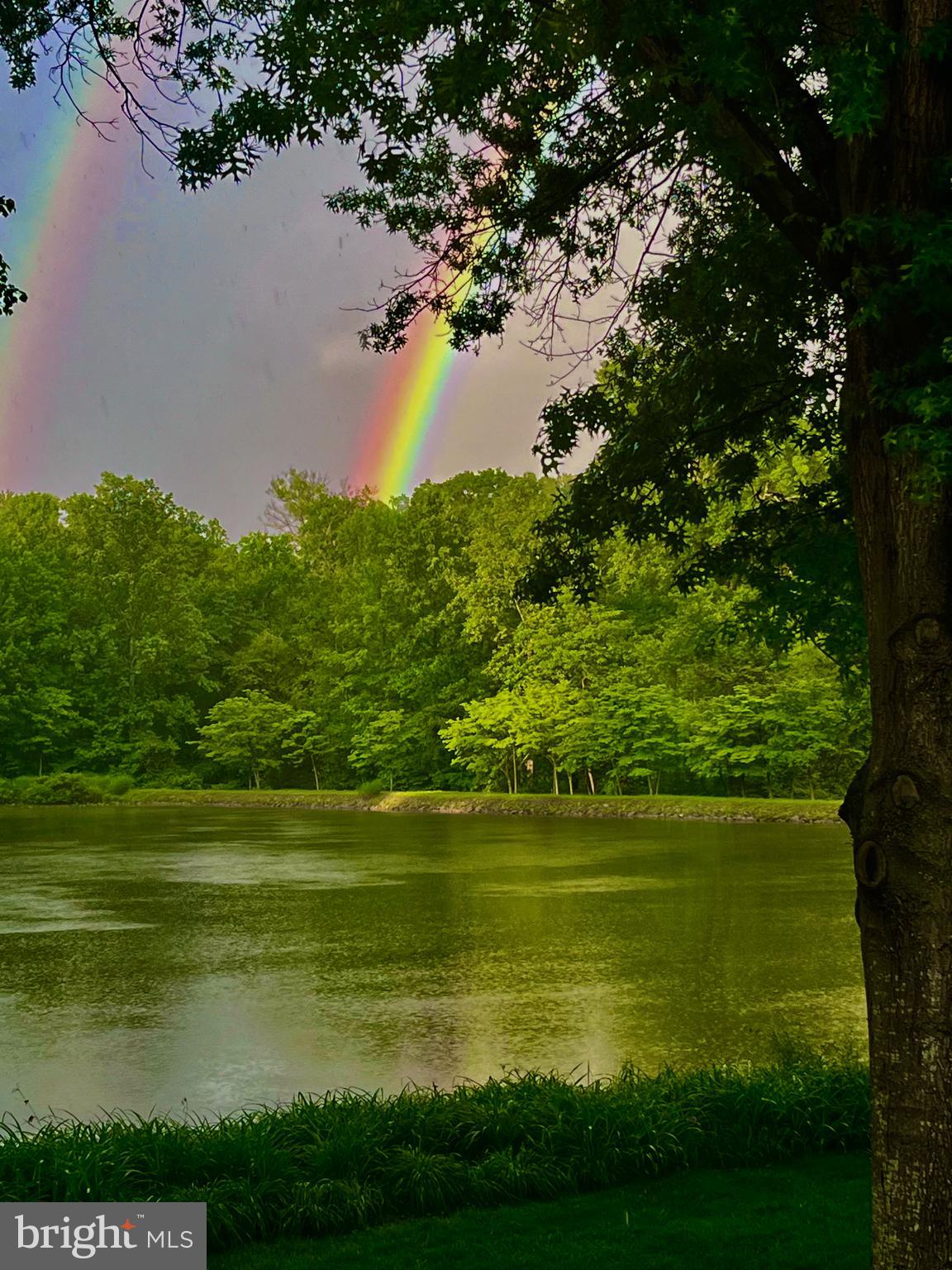 MANTUA - Residential