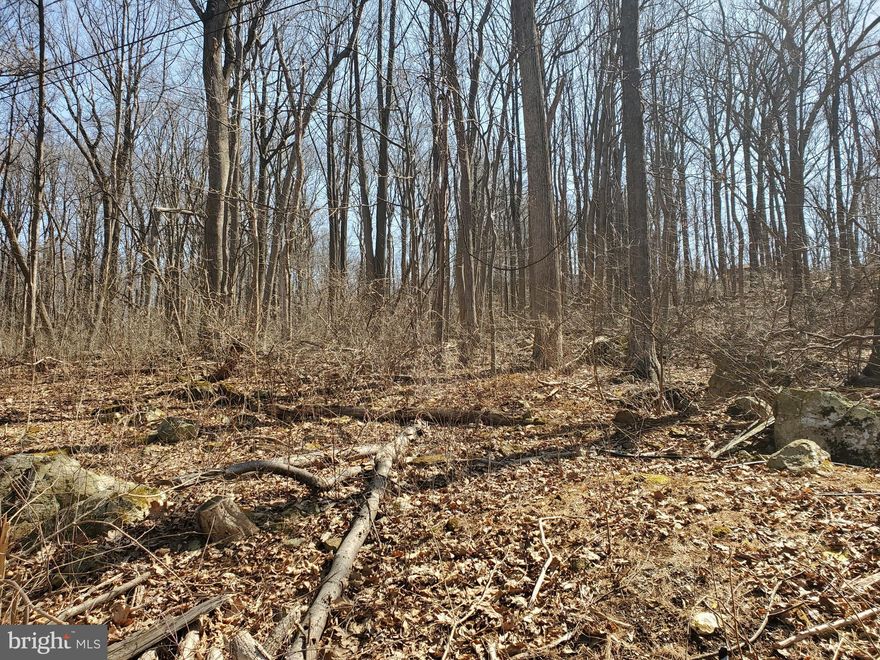 Build your dream home on this 1.86 acre lot with beautiful views to the western sky, surrounded by big beautiful trees.  Hike throughout the area and explore all the natural beauty.  Swim at the white sand beach or enjoy a day of fishing.  Entertain friends for those special Celebrations at the beautiful Blue Mountain Lodge with its glass enclosed views or stand out on the deck and take in the night sky.  This homesite is extraordinary and waiting for you and that home you have been dreaming about.   Owner will provide original, now expired, septic permit.