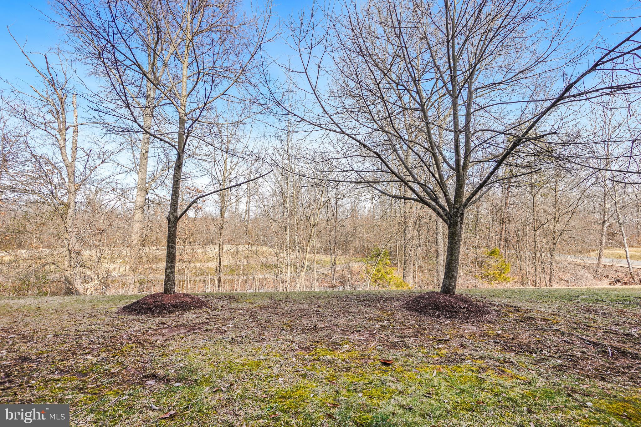 BELMONT BAY - Residential