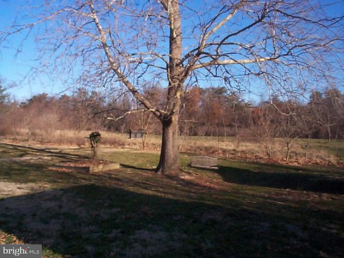 REGULARS - Residential Lease