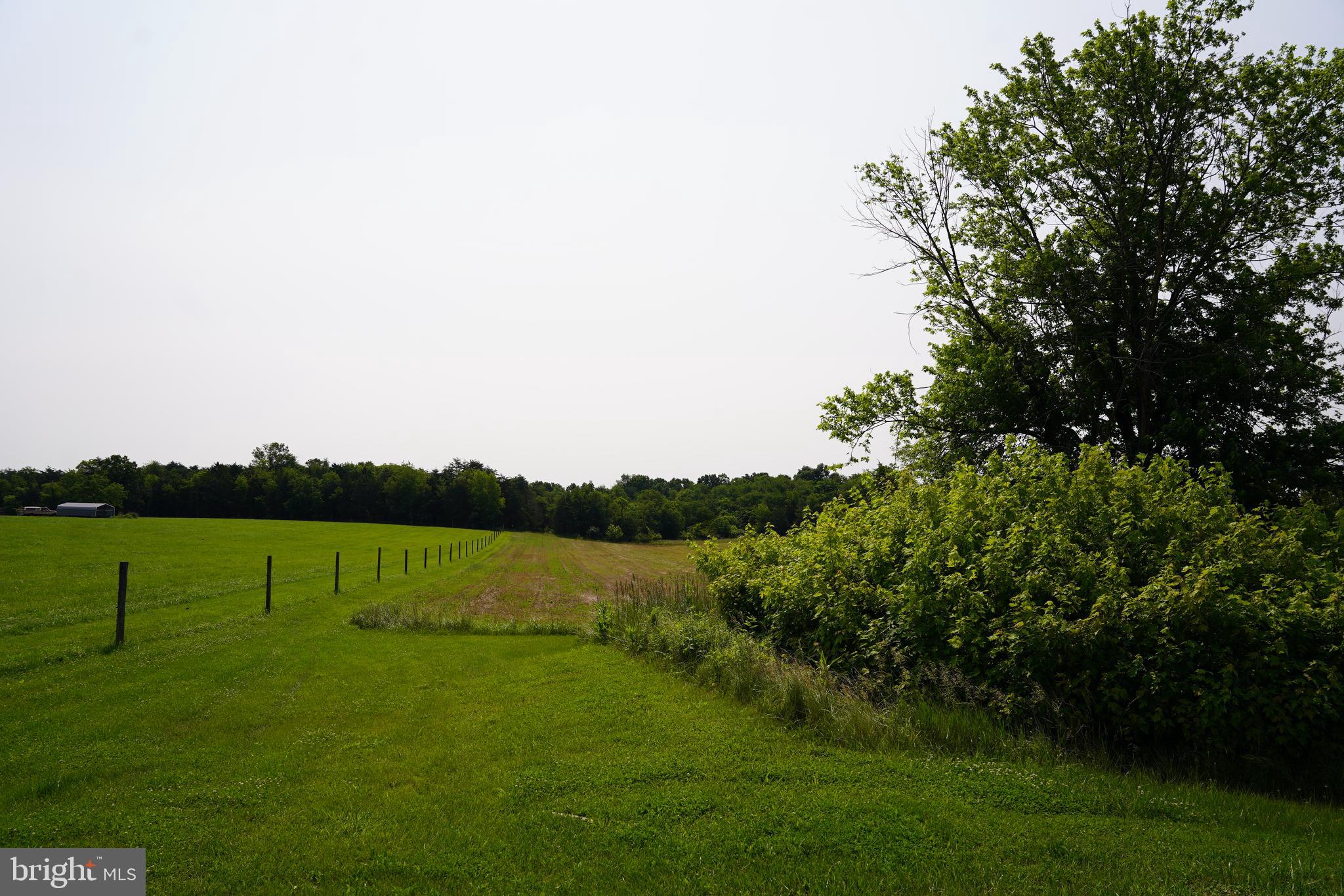 80 KAISER LANE