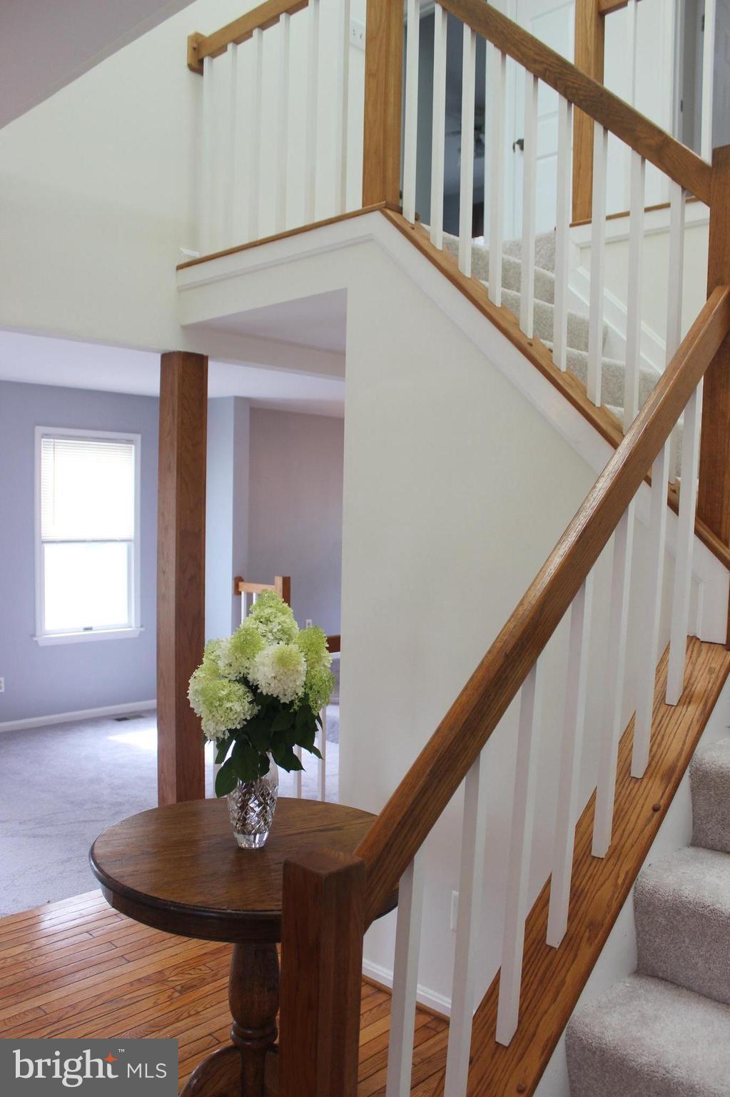 MAJORS CHOICE - Residential