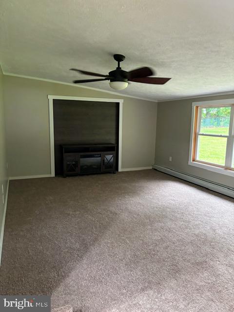 MOUNTAIN LAKE PARK - Residential