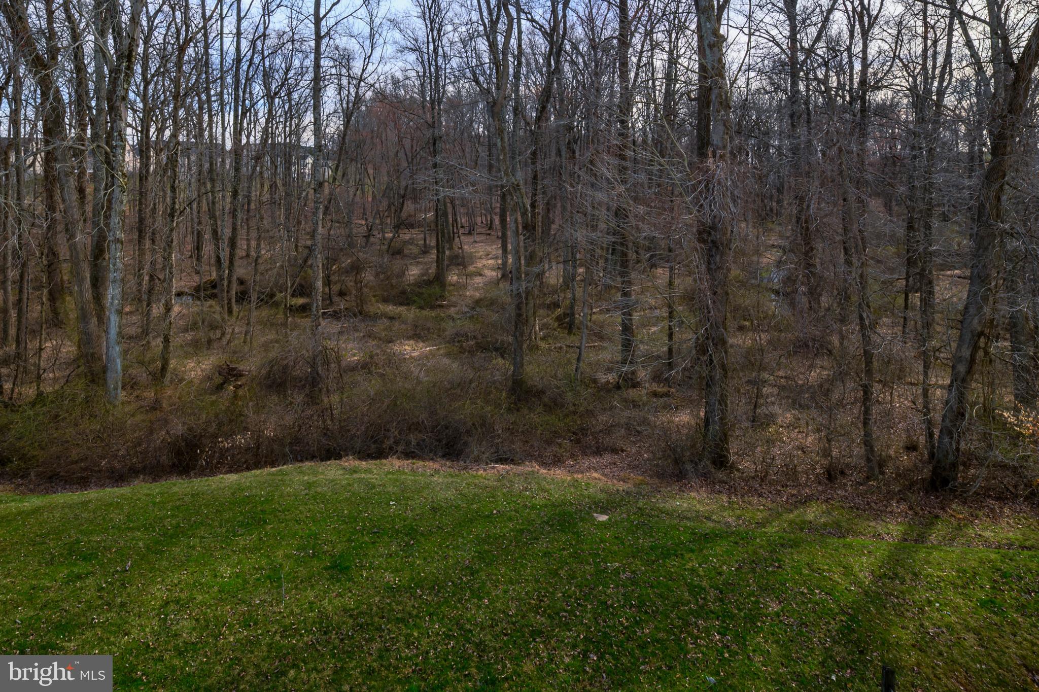 WAVERLY OVERLOOK - Residential