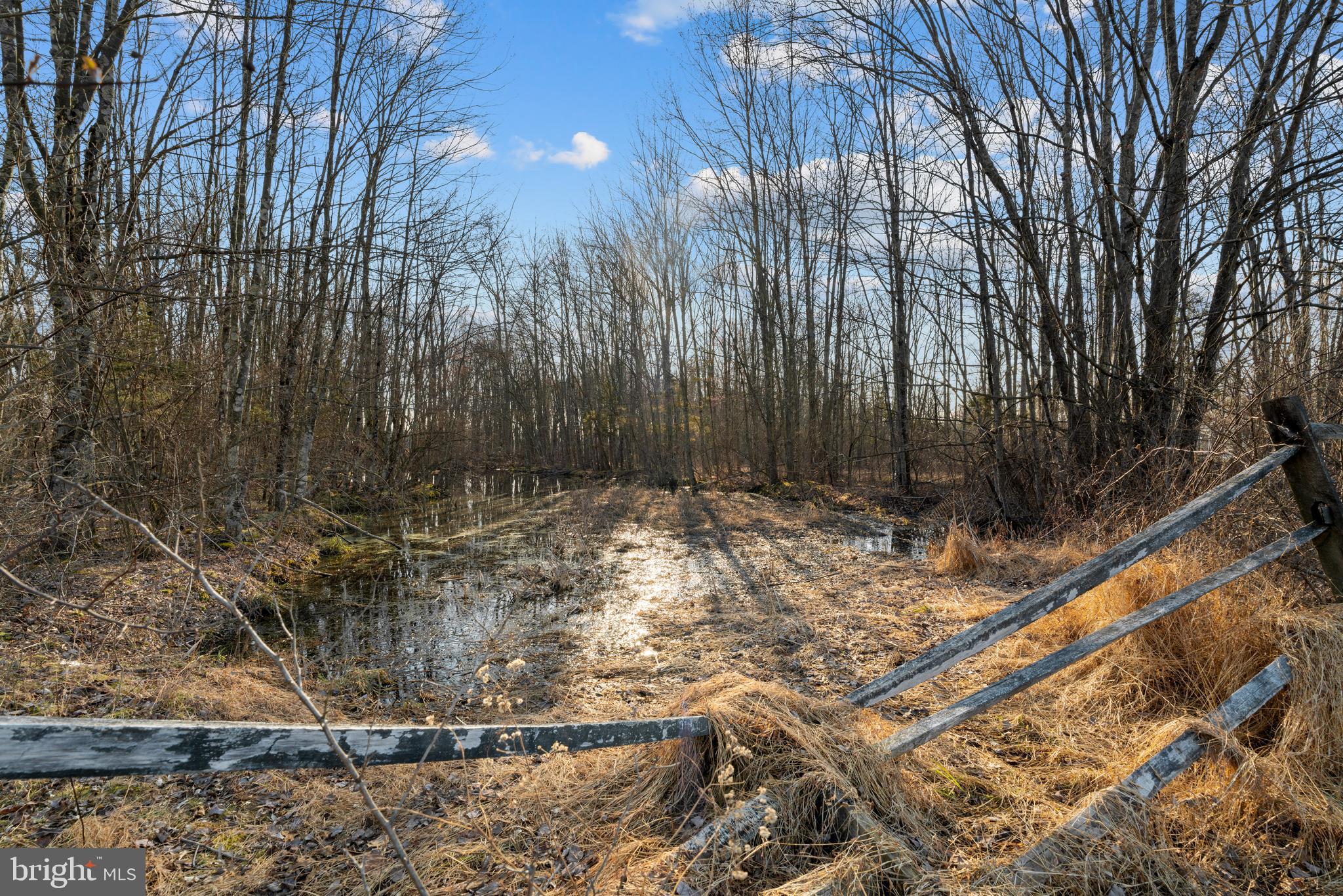 UPPER BLACK EDDY - Residential