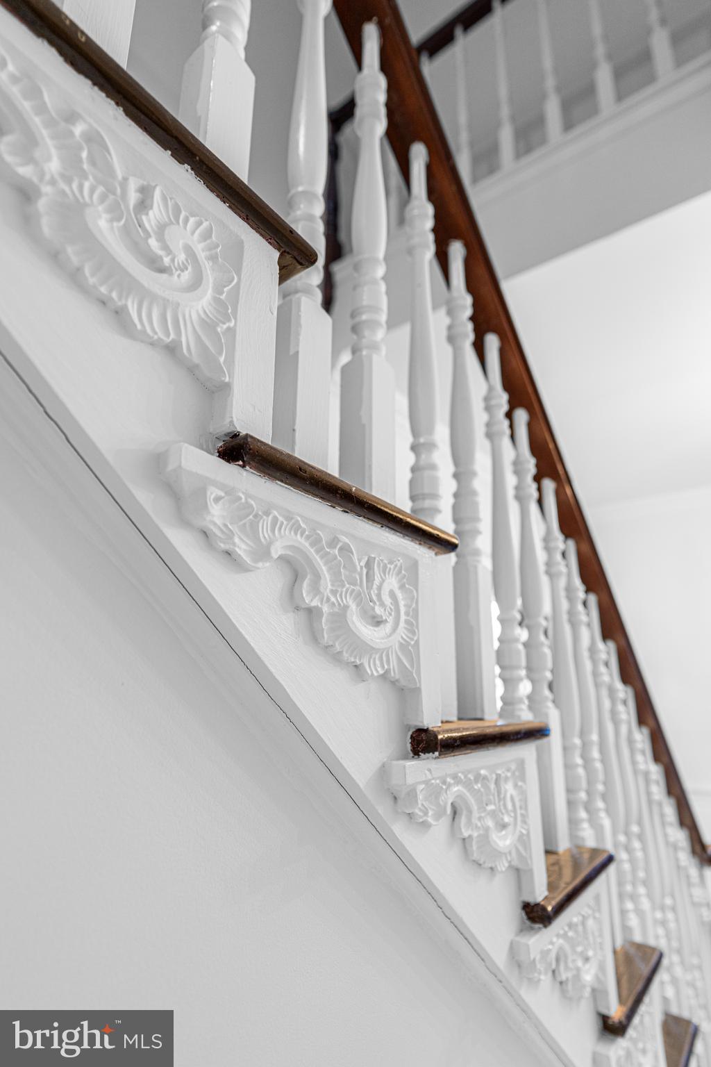 UPPER BLACK EDDY - Residential