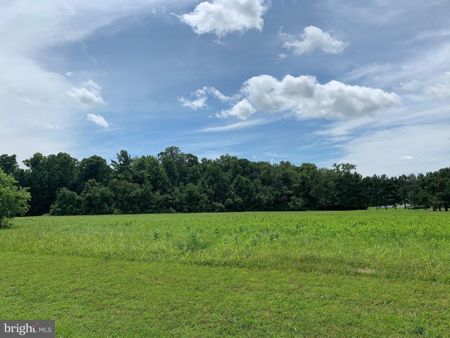 Build your dream home on this 6.45 acre, partially wooded homesite in the sought-after community of Lloyd's Crest. 5 miles to downtown Easton. Enjoy the best of both worlds in this small-town gem on the Eastern Shore - easy access to Baltimore/DC Metro area. Life on the Chesapeake Bay is good - arts & culture, fishing, boating, exploring, shopping & dining - quick trip to the Ocean City and Assateague Beaches! Close to renowned hospitals & educational centers. Plat attached to listing.  Lot fronts on both Cromwells Way & Wellington Drive - approximately 5454 Wellington on GPS. Sizes, taxes approximate.