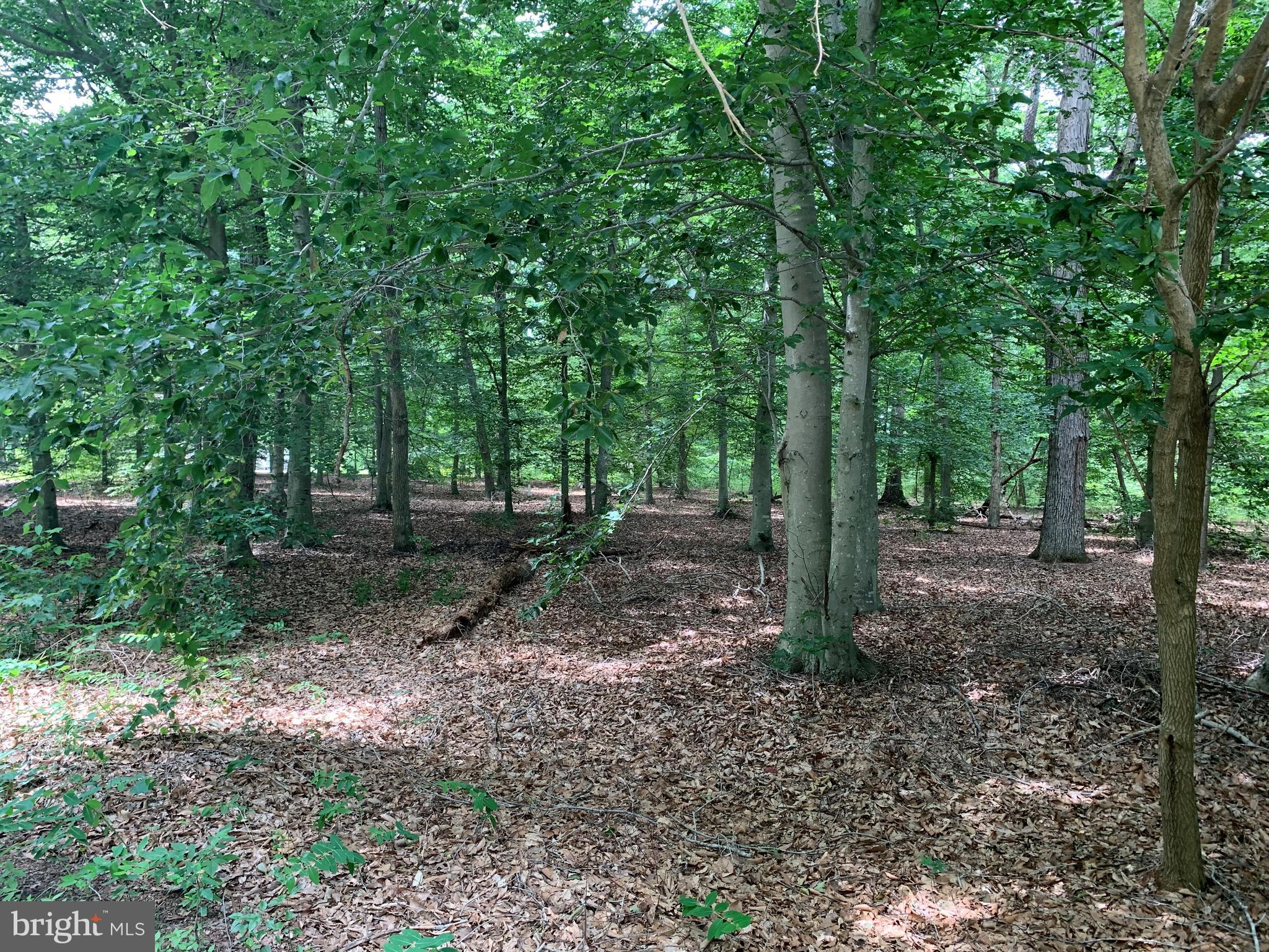 LLOYD'S CREST - Land