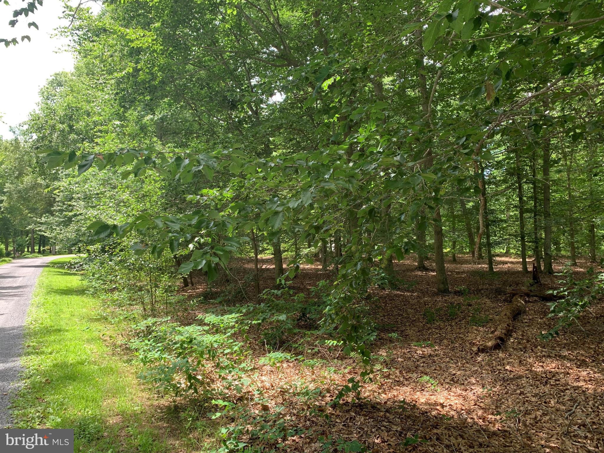 LLOYD'S CREST - Land