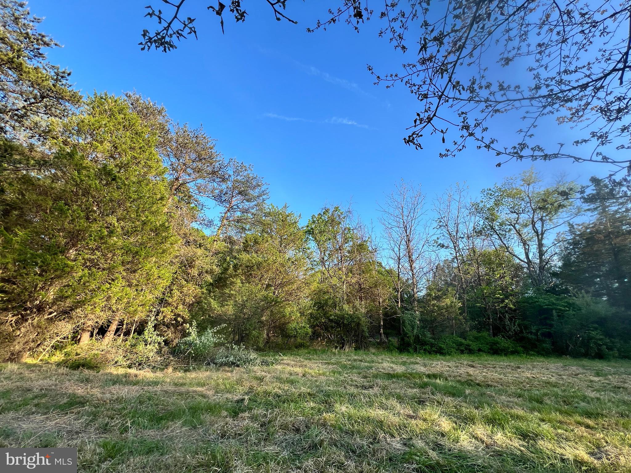 13109 THORNTON