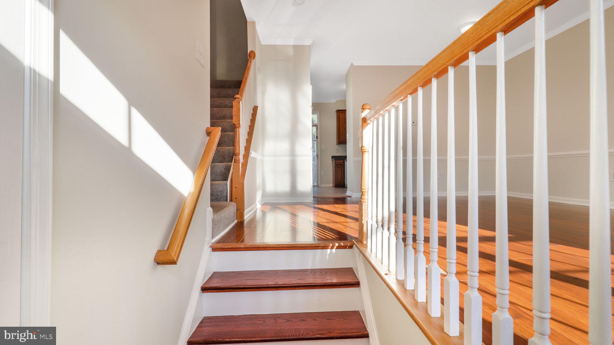 BRIGHTWOOD FOREST - Residential