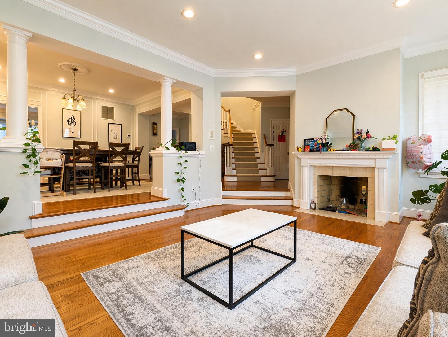 2029 MAYFAIR MCLEAN COURT