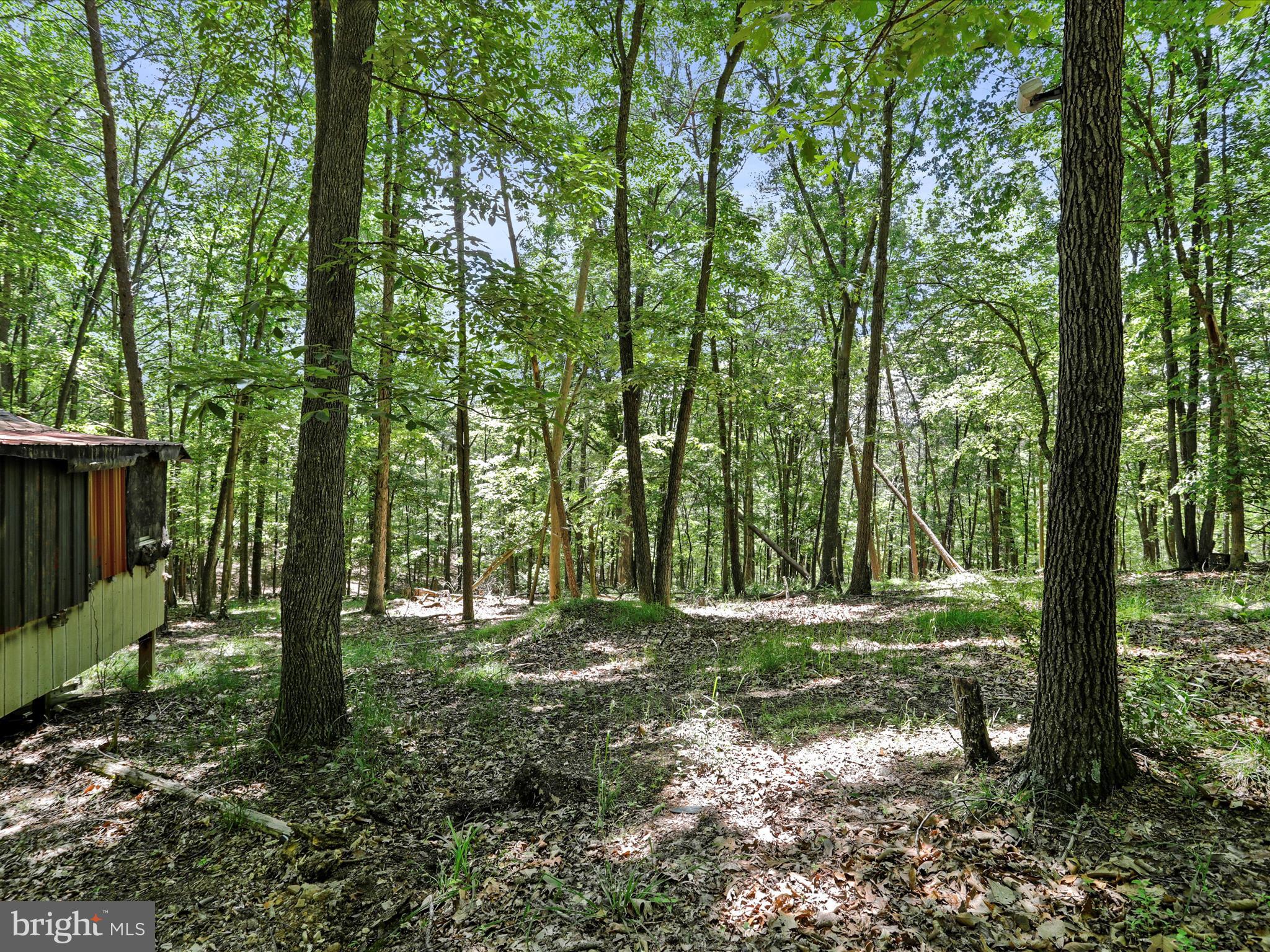 CEDAR RUN - Residential