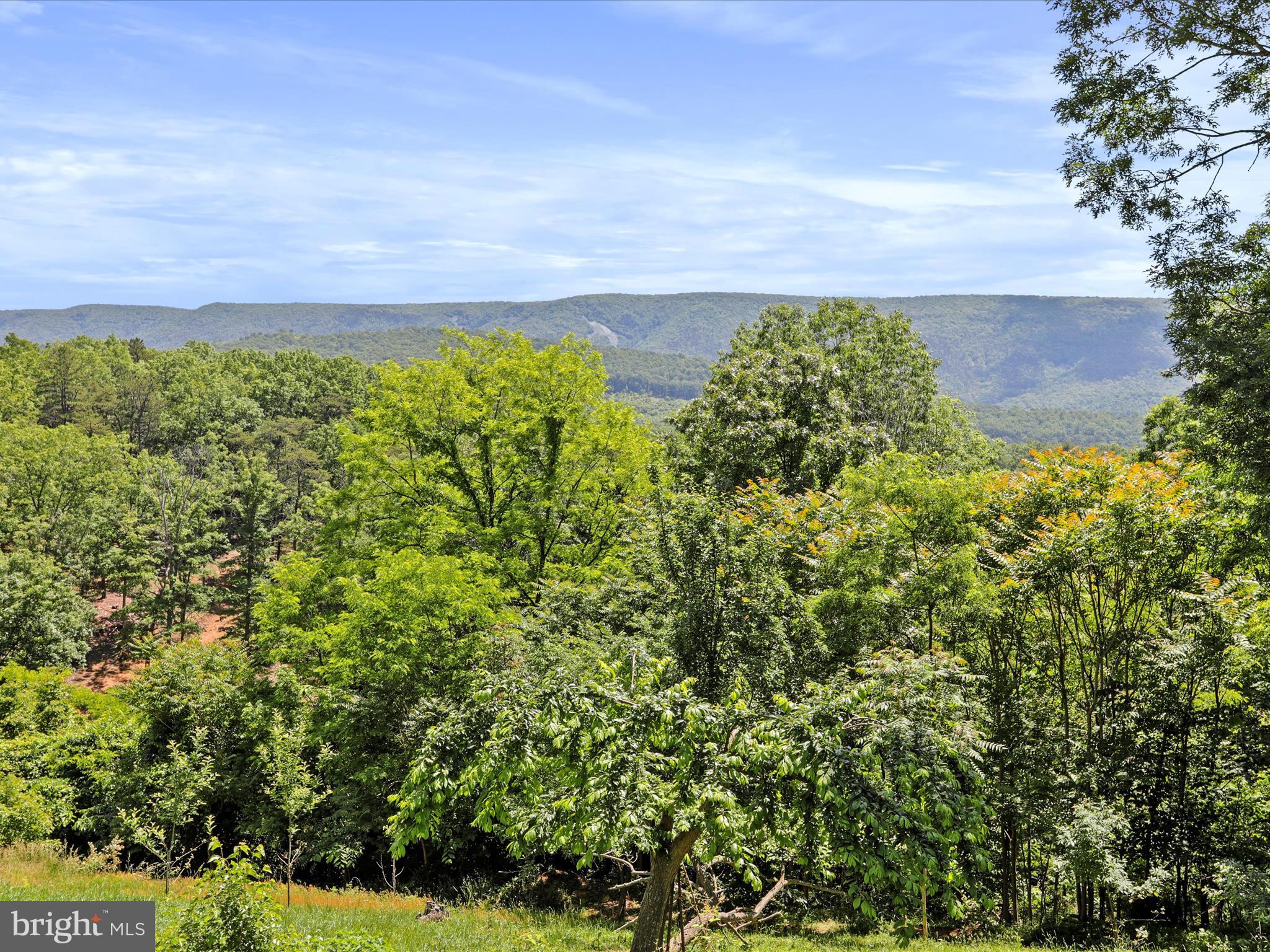 CEDAR RUN - Residential