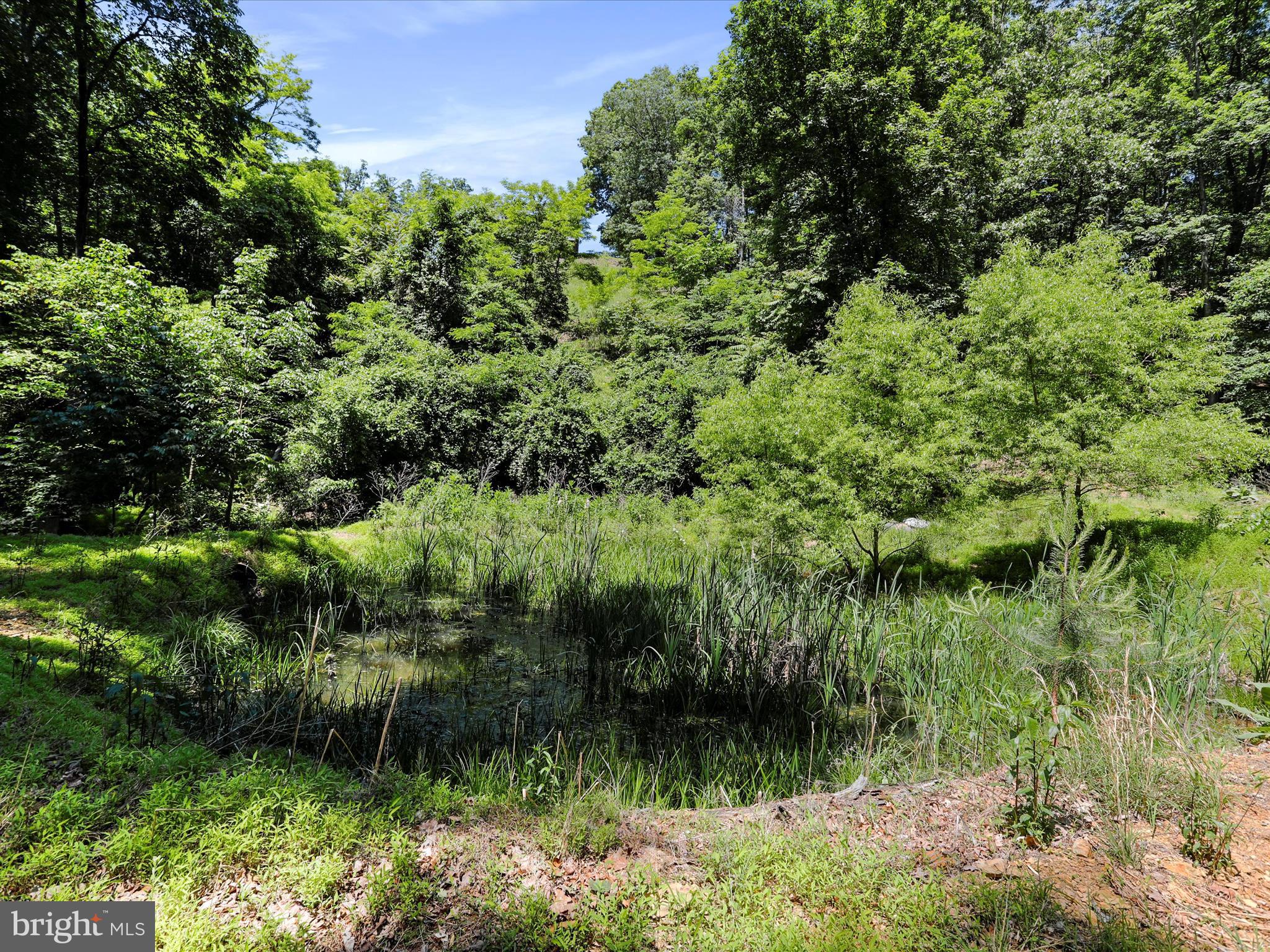 CEDAR RUN - Residential