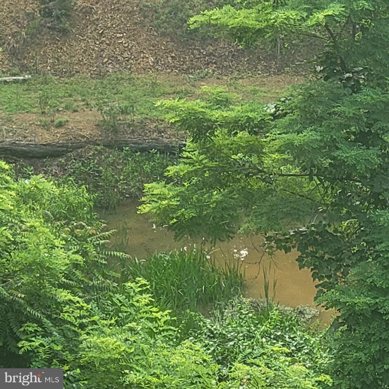 CEDAR RUN - Residential