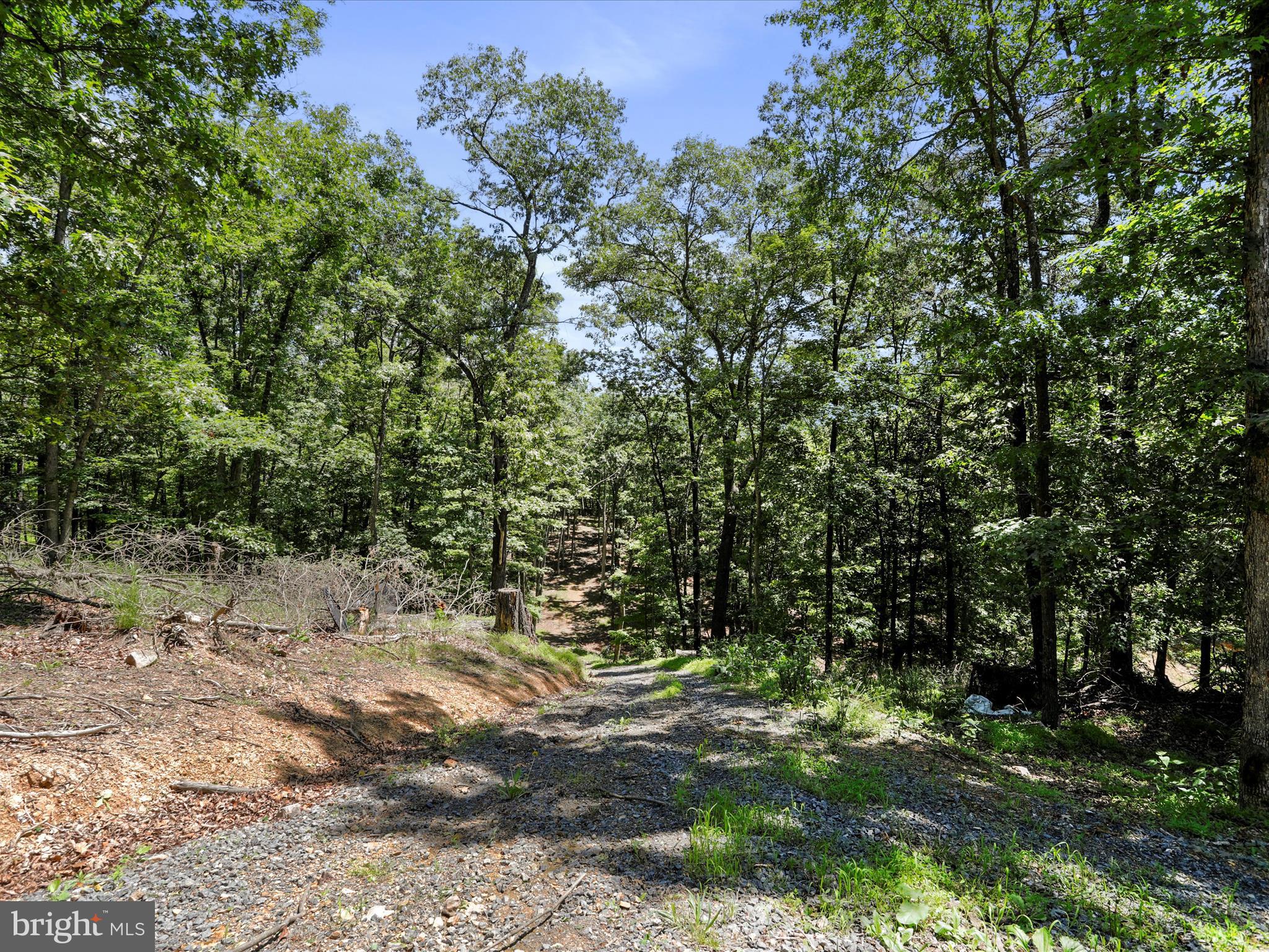 CEDAR RUN - Residential