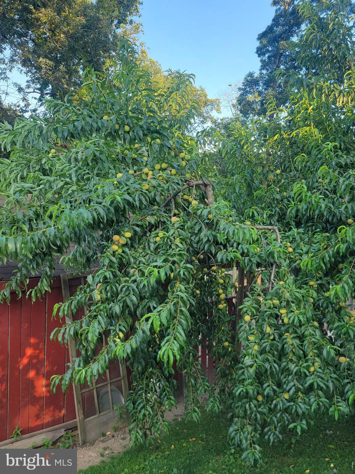 CEDAR RUN - Residential