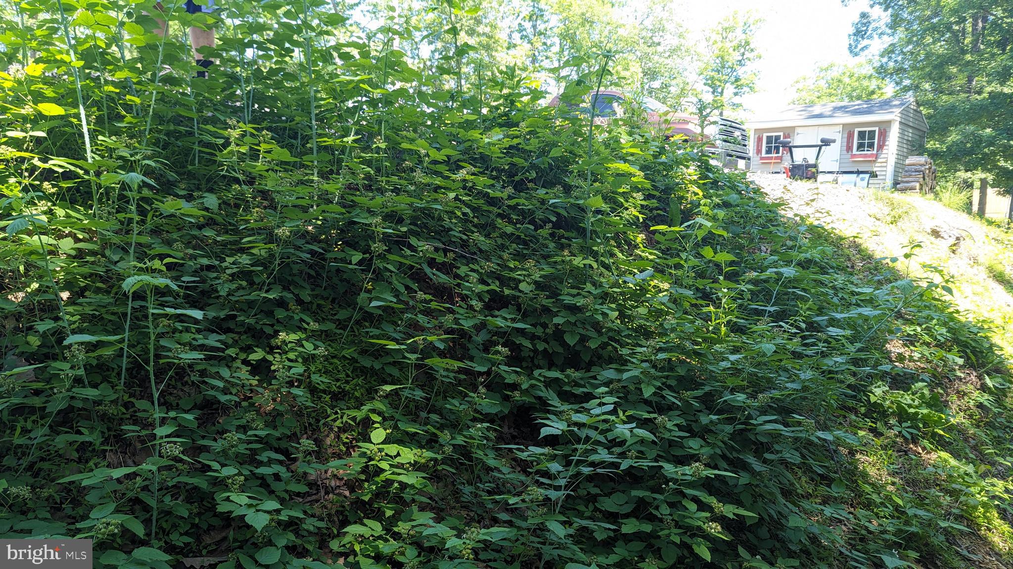 CEDAR RUN - Residential