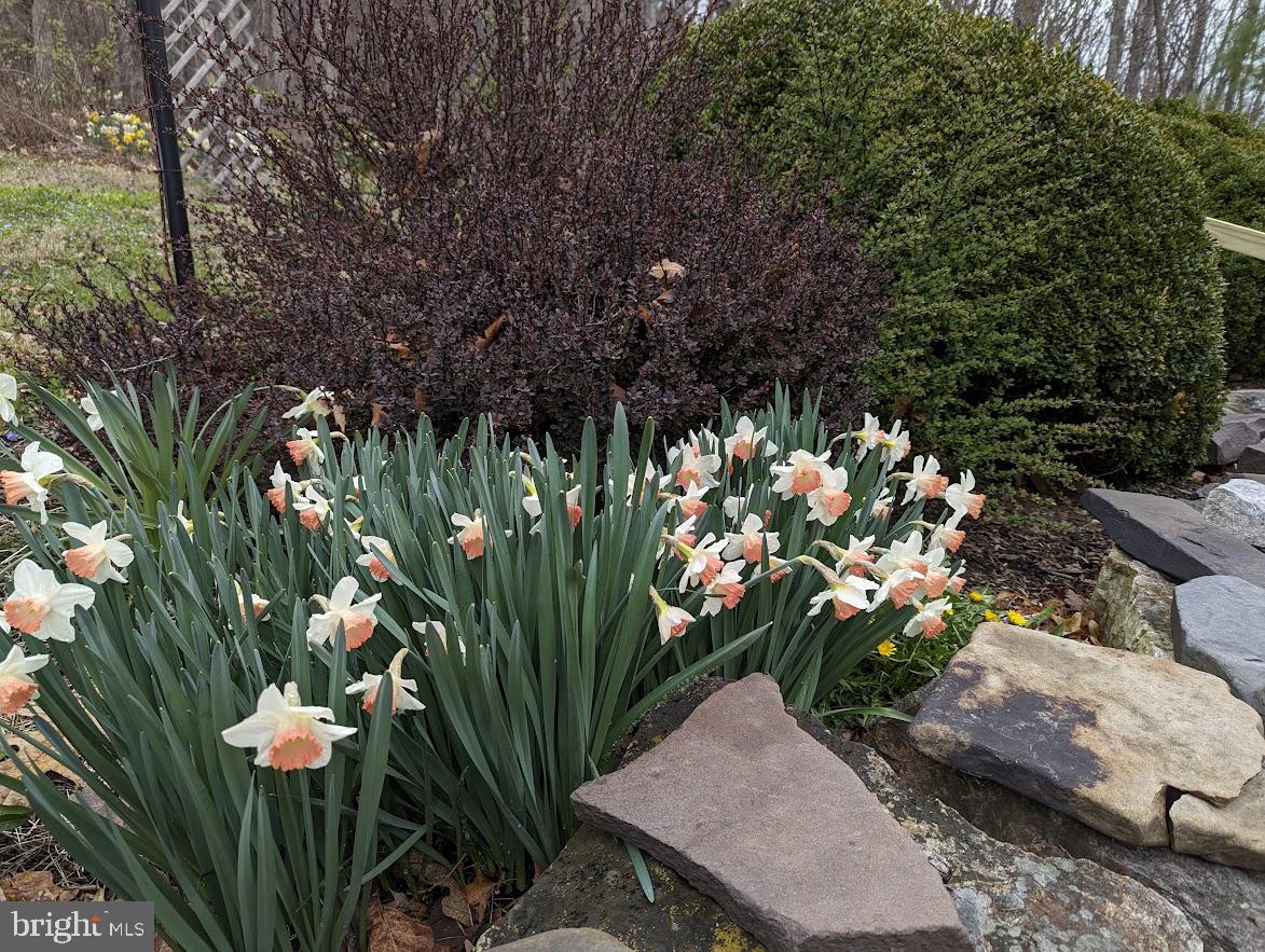 HIDDEN VALLEY - Residential