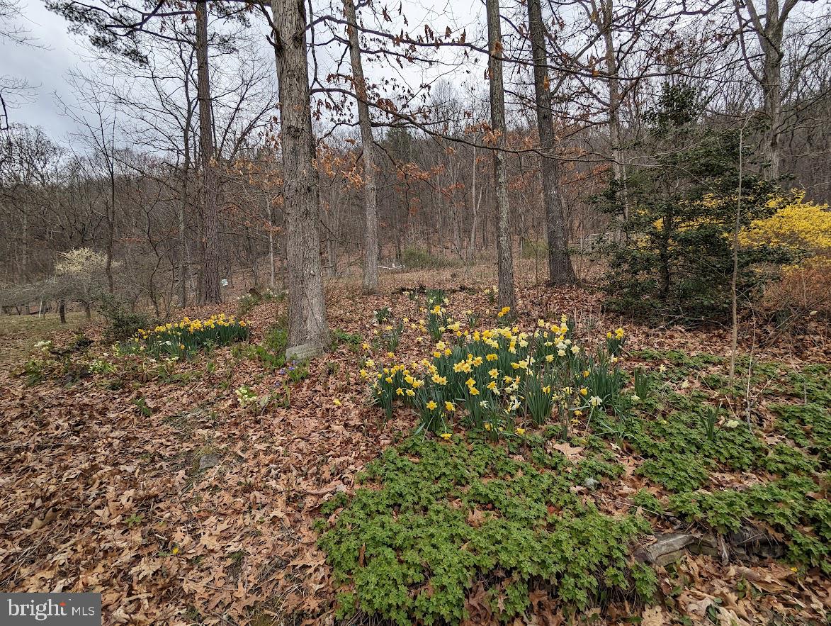 HIDDEN VALLEY - Residential