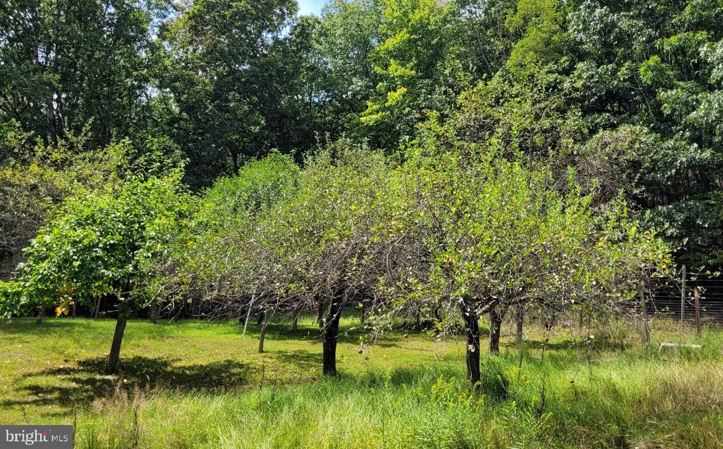 HIDDEN VALLEY - Residential