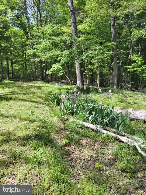 CACAPON RIVER MEADOWS - Land