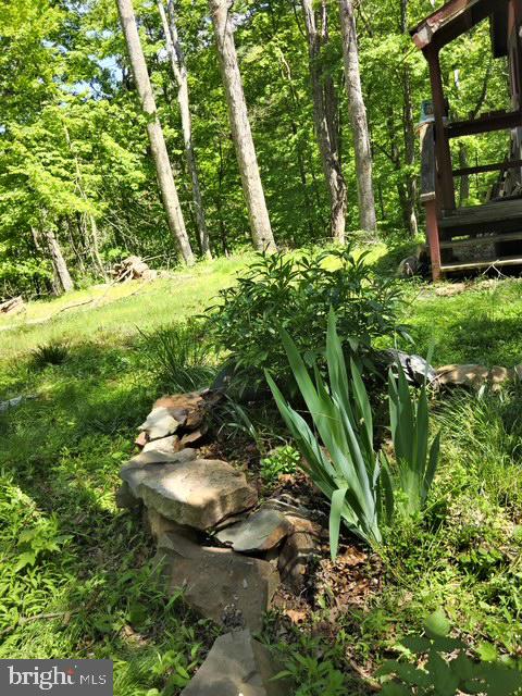 CACAPON RIVER MEADOWS - Land