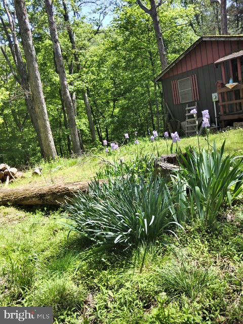 CACAPON RIVER MEADOWS - Land