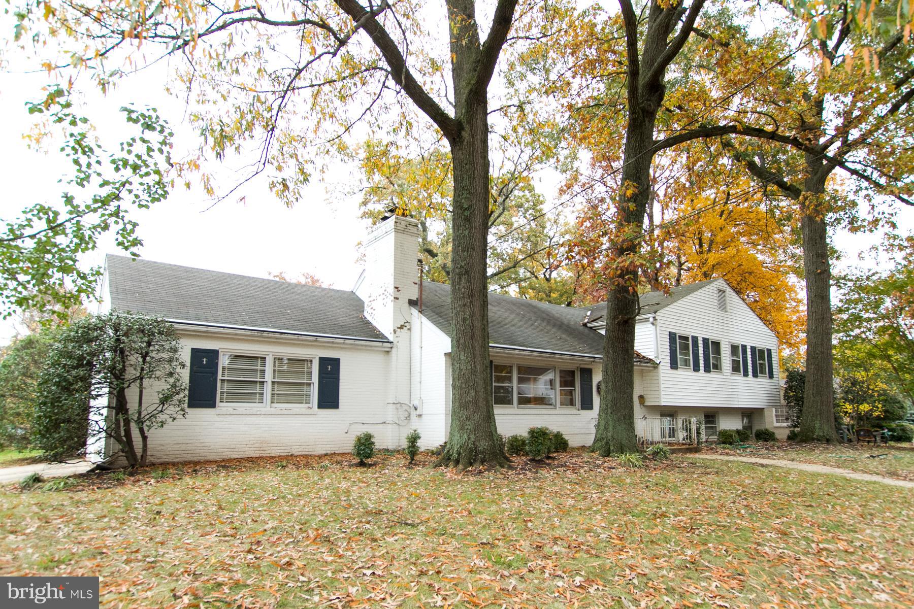 BELLEVUE FOREST - Residential Lease