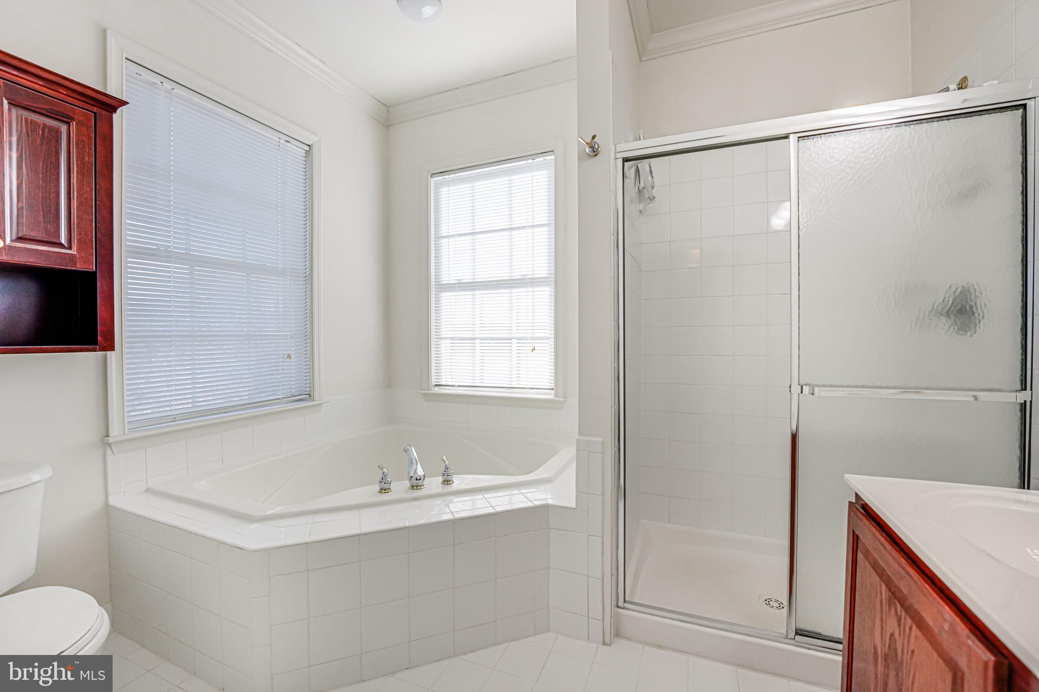 MOUNT VISION - Residential