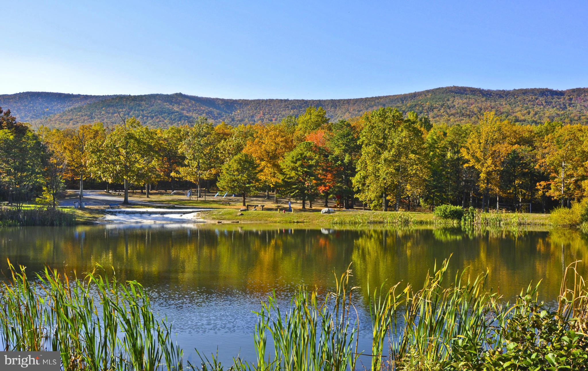 WILDE ACRES - Residential Lease