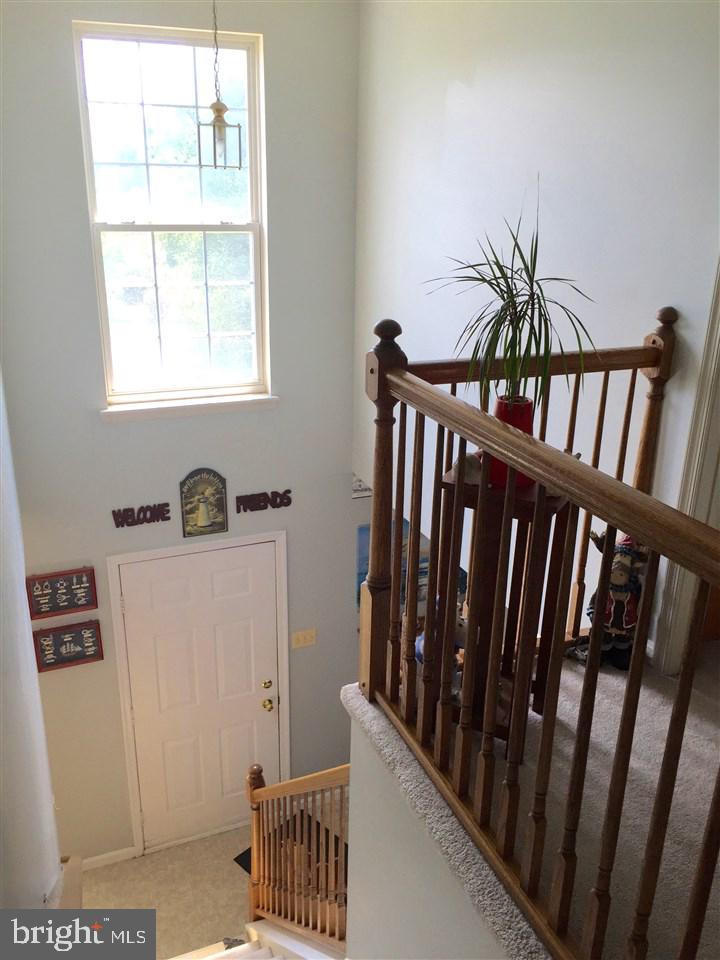 RAINTREE - Residential